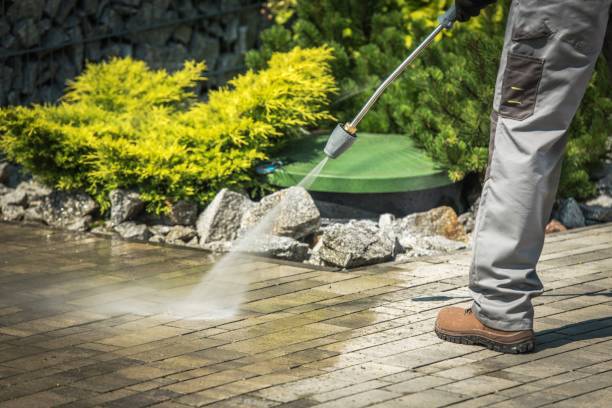 Best Fence Cleaning  in Edgewood, KY
